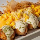 타코파파 이미지