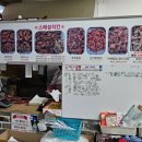 진양닭집 네이버블로그