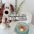 우리 아이를 위한 세상 특별한 수원레터링케이크 제라케이크 후기