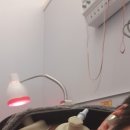 향동숲한의원 이미지