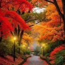 모차르트 Mozart / 교향곡 40번 1악장 / Symphony No.40-1 이미지