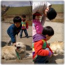 목장회관 - 창원시 성산구 | 목장회관
