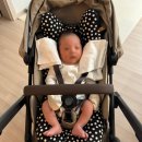 하이조앤텍(주) | 살까 말까? 고가 육아 용품 1년 사용 후기 - 디럭스 유모차, 트립트랩, 아티포페, 쥬다르 범퍼침대...