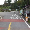 구례로선 | 구례 산수유자연휴양림 할미꽃 내돈내산 후기