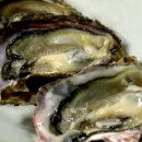 비타민활력소