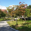 승일공원(승일교) 이미지