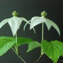 배명고등학교(외) 이미지