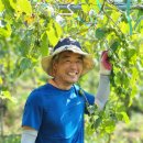 다래농장 이미지