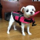 최광호동물병원 이미지