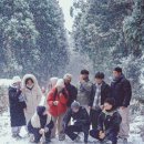 검은노루