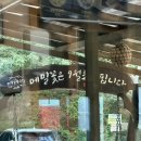 평창 메밀꽃필무렵 메밀국수 내돈내산 솔직후기