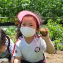 햇볕쨍어린이집 이미지