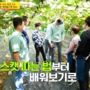박상윤농장 티스토리