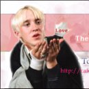 at the Moment CAFE 이미지