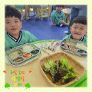 은빛농장 이미지