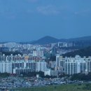 센트럴본타워 이미지