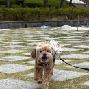 금정의 메아리 | 예/술을 곁들인 일상 ang