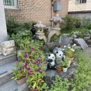 호계마을회관 | 마산 내서 처가옥 소바 / 비추후기