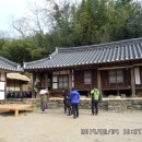 강골민박 이미지