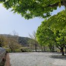 신원양지마을 이미지