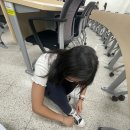 홍주신발