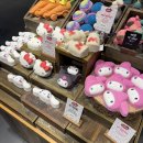 (주)에버플랜트 | 궁전으로 갈 수도 있어