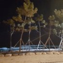 동부카서비스 이미지