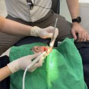 바른선택치과의원 이미지