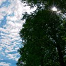 담양여행 이미지