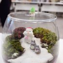 정순남 | 테라리움 만들기 후기 크리스마스 선물 추천