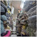 애견용품 창고형 할인매장 | 시흥강아지분양 반려동물 천국: 애견용품 창고형 할인매장 체험기