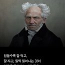 더자라 Daum카페