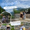 토교1리마을회관 | 강원도 인제 아침가리계곡 트레킹 여름 물놀이 가볼만한곳
