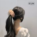 이음붙임머리 - 세종특별자치시 한누리대로 321 | 이음붙임머리