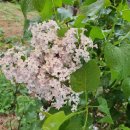 세븐일레븐 도봉산로점 이미지