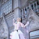 스테이 릴리 이미지