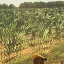 주식회사 머글 이미지