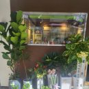 면목동-050 이미지