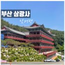 초읍동-26 | [ 부산 사찰 삼광사 ] 부산진구 초읍동 절 삼광사 낮에 방문