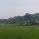 서린치과의원 이미지