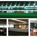 영골프클럽 이미지