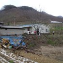 람세스한우농장 이미지