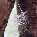 제주8월14일 이미지