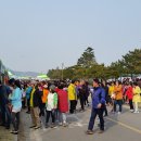 울돌목광양 이미지