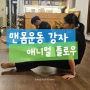 스트롱네이션(맨몸근력운동) | 애니멀 플로우 원데이 클래스 후기 ㅣ 맨몸 운동으로 유연성과 코어 근력을 동시에!