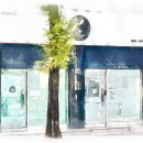 지지밍고 이미지