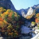금강산에 이미지