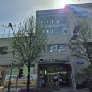 사당솔밭도서관 | [서울 여행] 겹벚꽃이 제철! 동래정씨 임당공파 묘역 &amp; 보라매공원 | 동작구 겹벚꽃 명소