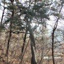 삼거