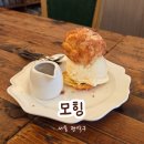원당슈퍼 | 모힝 낙성대역점ㅣ합리적인 가격에 즐기는 분위기좋은 이탈리안 레스토랑 내돈내산후기